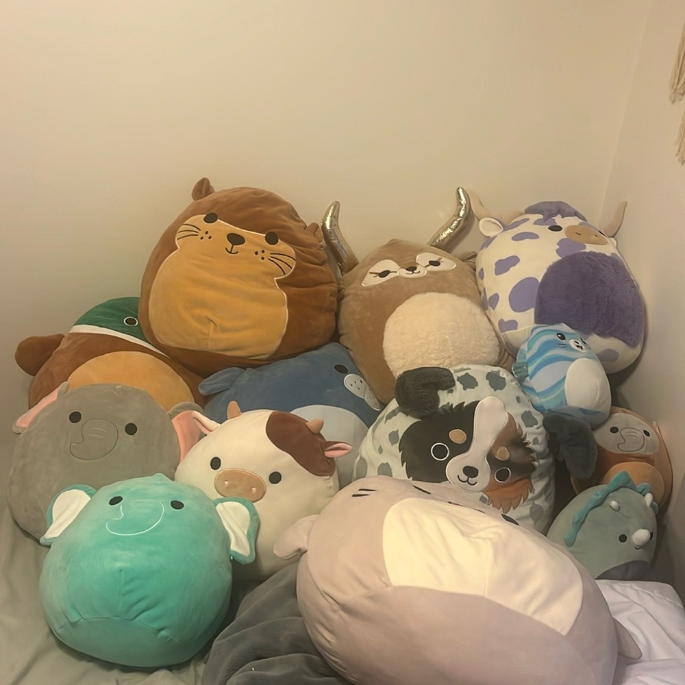 Squishmallows!
